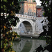 Italy Rome Tevere (Medium) (Medium)