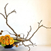 ikebana103c