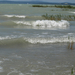 balaton2008+ 099