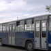 Busz BPO-346-Káposztásmegyer