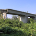 Nyíregyházi kisvasút-Balsai Tisza-híd torzója1