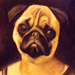 Pug painting (Jana Paleckova)