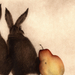 Deux lapins et Poire (CC Barton)